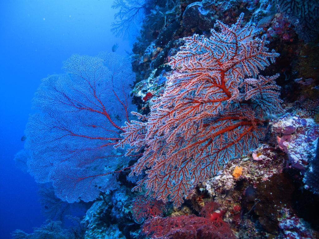 Diving Center Punta Stilo Apartman Kültér fotó