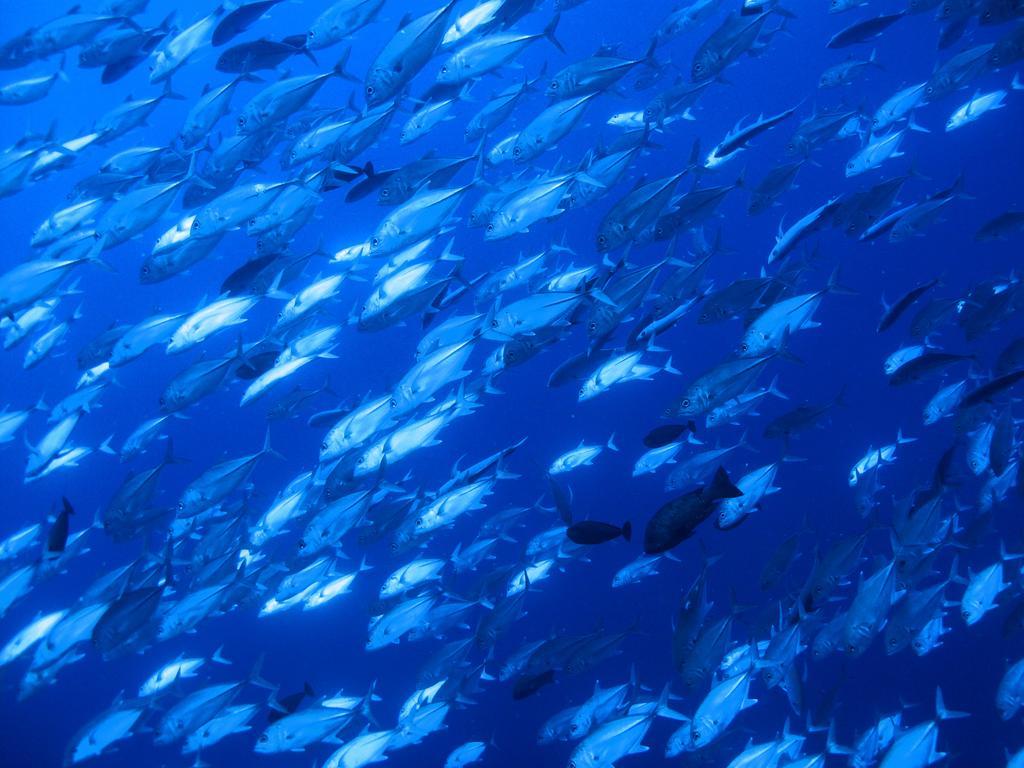 Diving Center Punta Stilo Apartman Kültér fotó